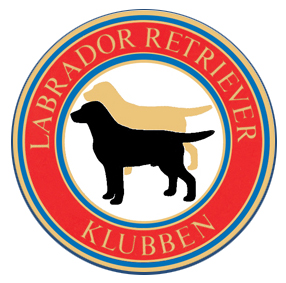Labradorklubben